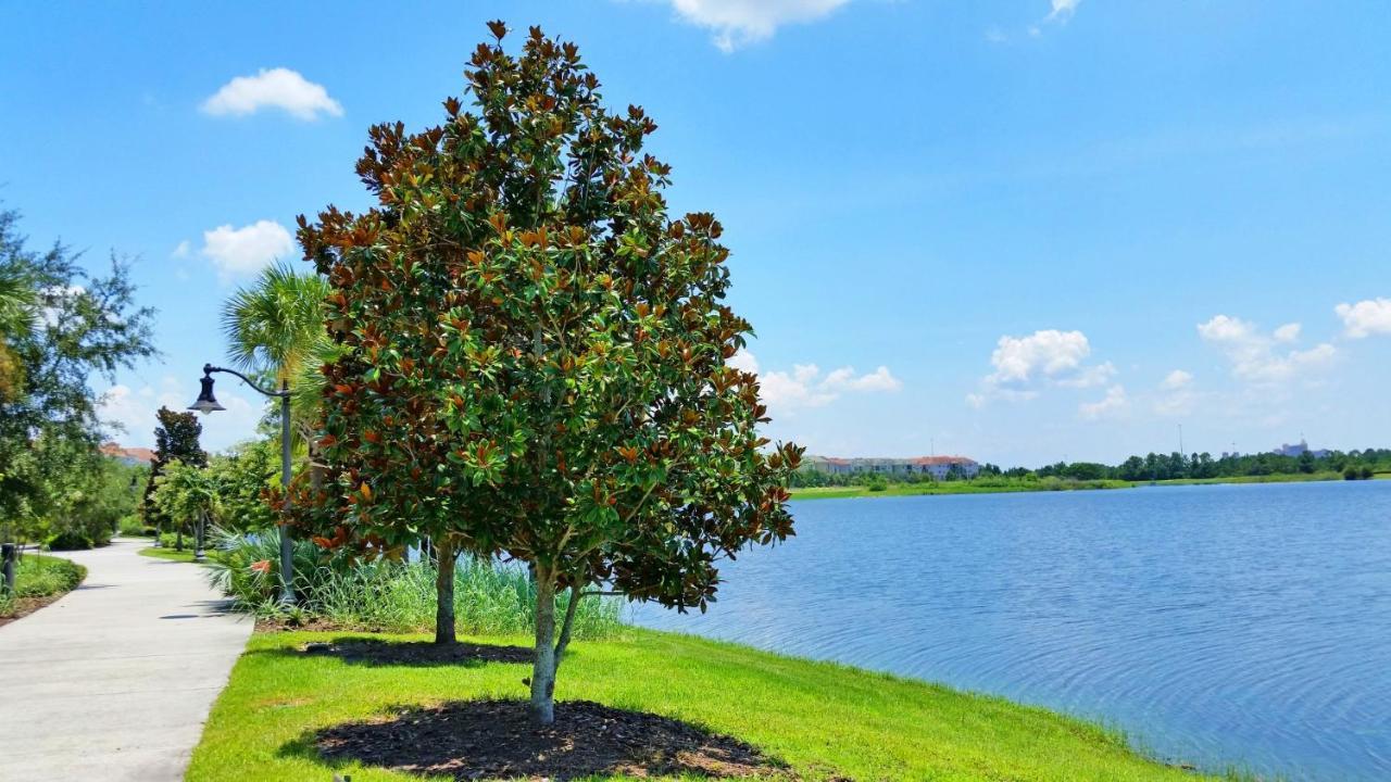 Вілла Florida Palms Орландо Екстер'єр фото